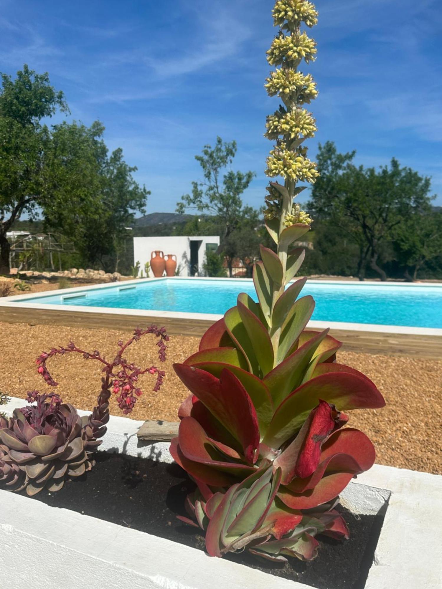 La Quinta Da Liberdade - Ferme De Charme En Algarve Villa Pechão Dış mekan fotoğraf