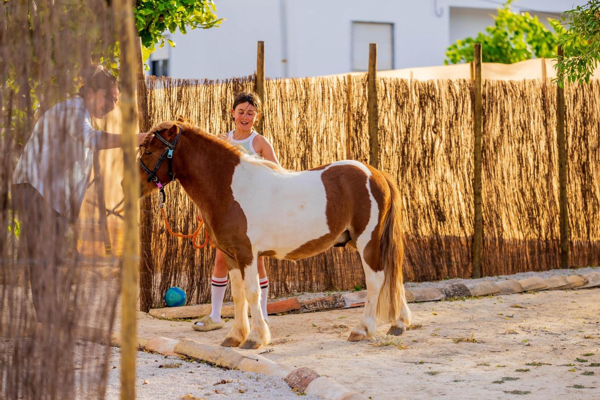 La Quinta Da Liberdade - Ferme De Charme En Algarve Villa Pechão Dış mekan fotoğraf