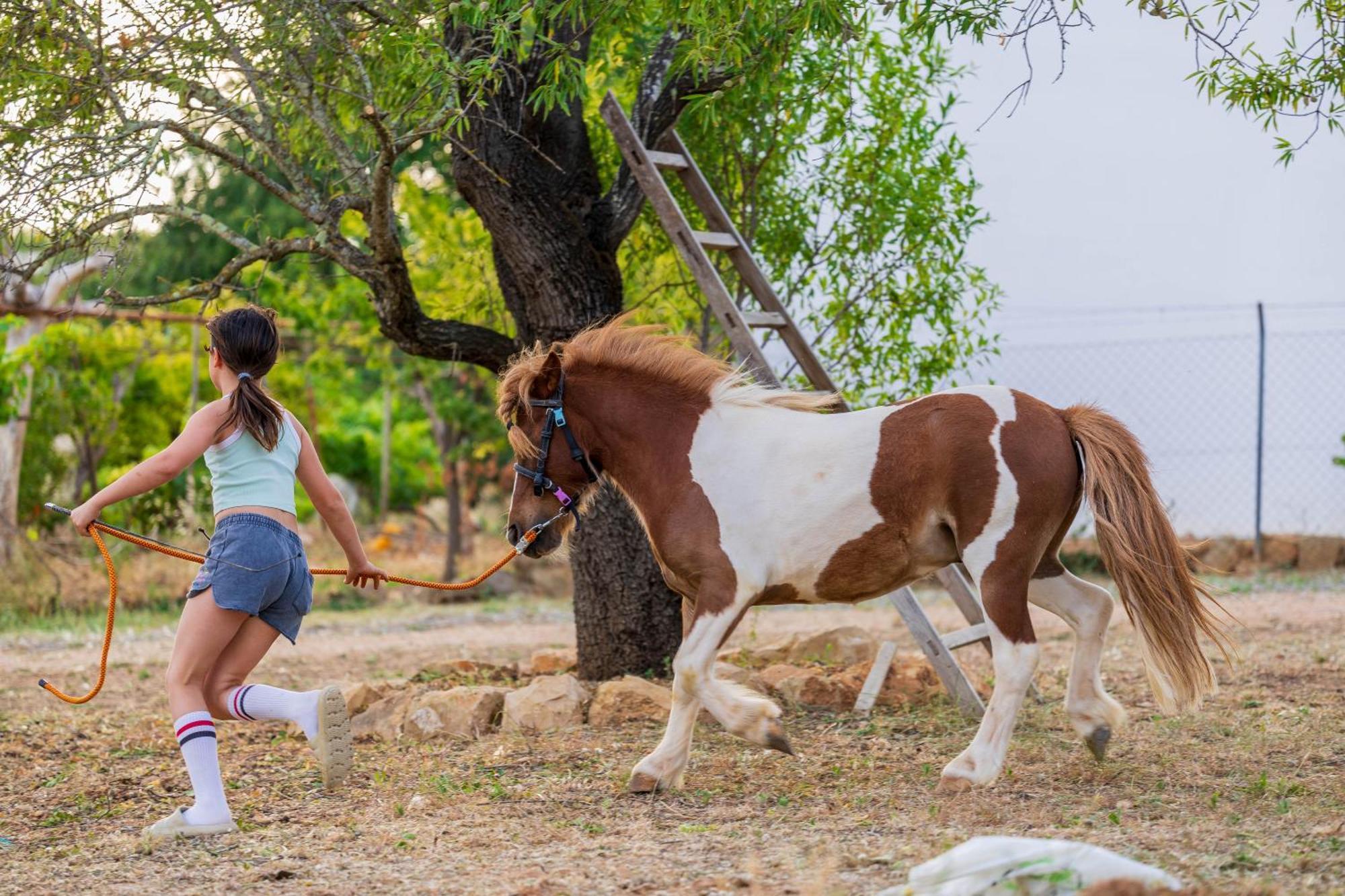 La Quinta Da Liberdade - Ferme De Charme En Algarve Villa Pechão Dış mekan fotoğraf